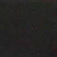 channelblack6